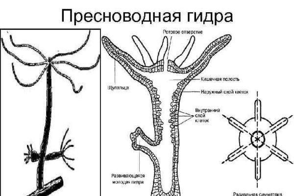 Как зайти на кракен дарк