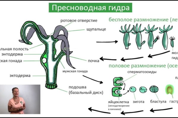 Кракен ссылка на тор